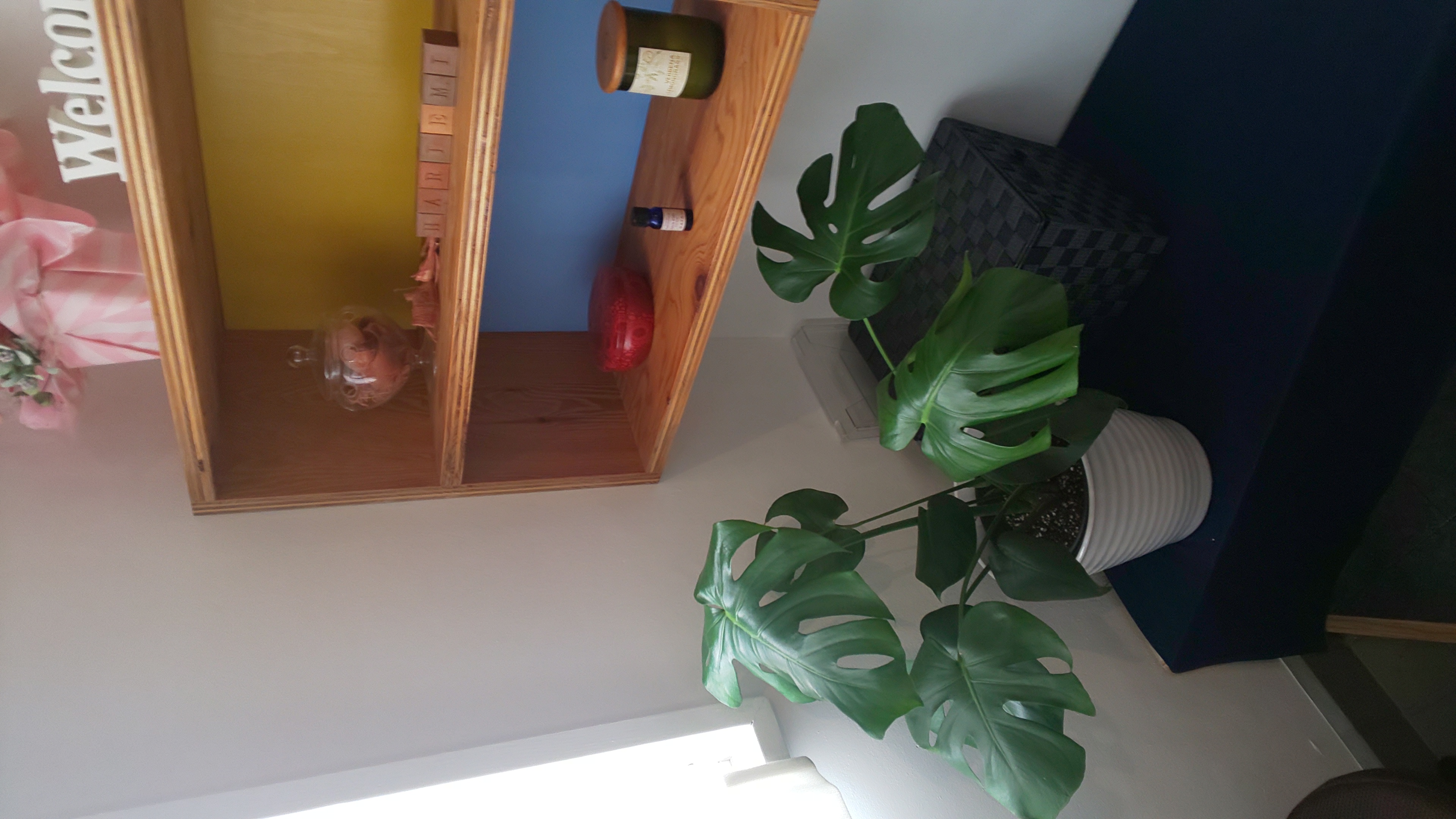 モンステラ復活 年06月26日 10時59分 Hariemiブログ Eparkリラク エステ