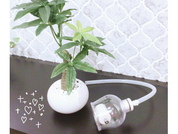 セルライト 自分で潰していませんか 年06月28日 16時00分 スリムビューティハウス 高松店ブログ Eparkリラク エステ