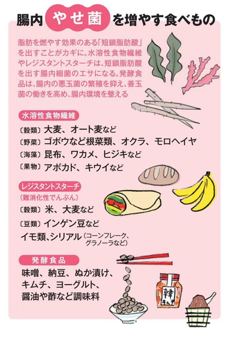 痩せ菌 が出やすい食べ物 年10月08日 17時分 天空のここちブログ Eparkリラク エステ
