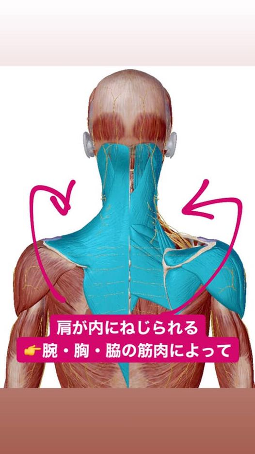 ストレッチは全身くまなくする必要はない 続き 年12月22日 12時00分 整体院 國 Kuni ブログ Eparkリラク エステ