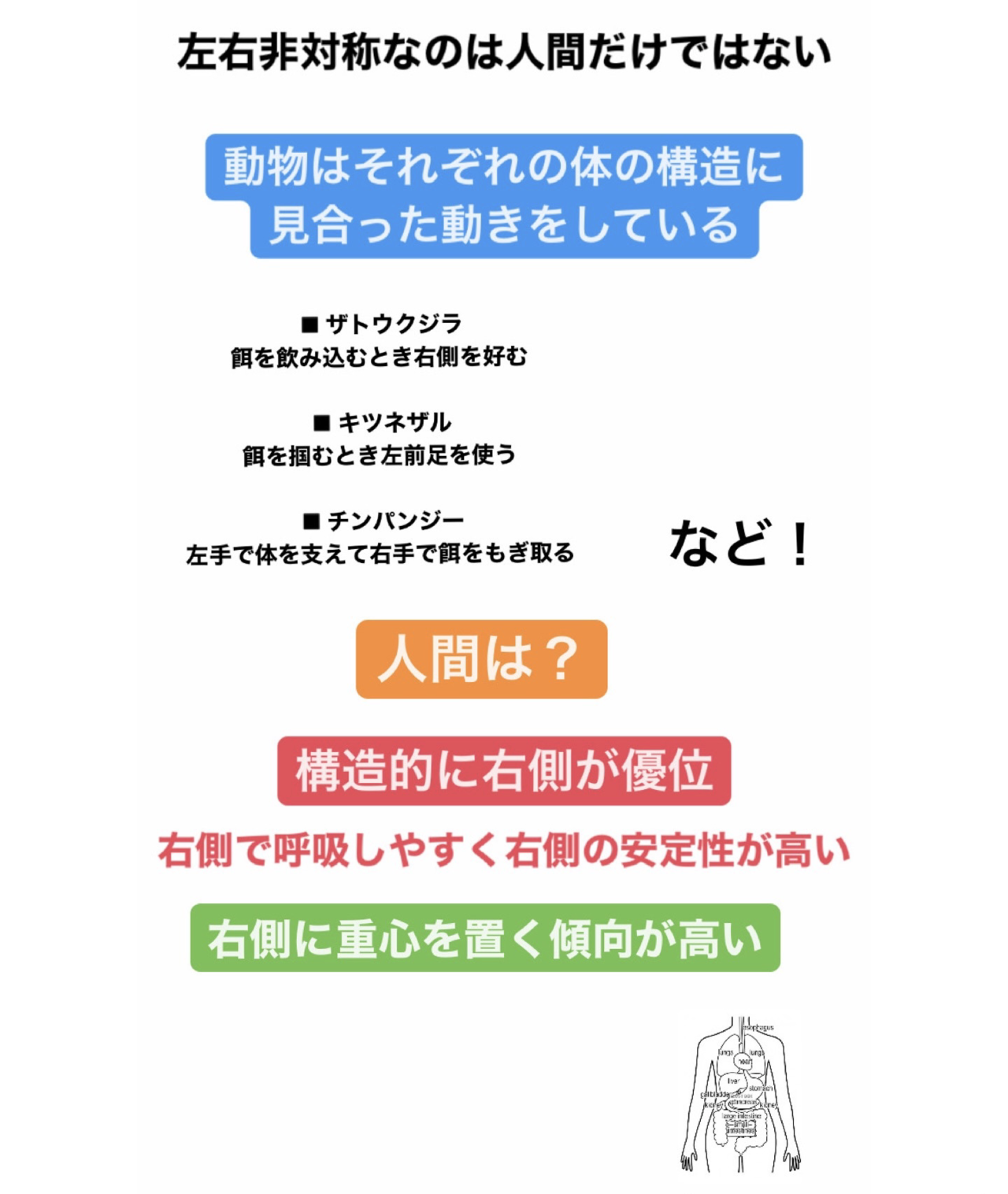 左右非対称の身体 21年04月22日 13時35分 Refresh Labo R I T ブログ Eparkリラク エステ
