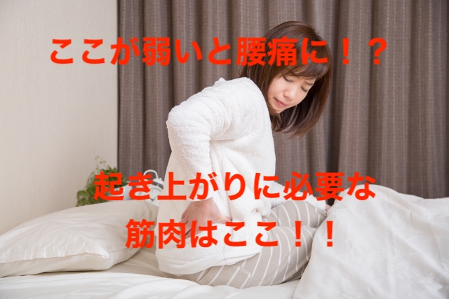 腰痛 起き上がりに必要な筋肉は 21年05月05日 08時00分 整体院 明価ブログ Eparkリラク エステ