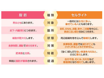セルライトを解説 セルライトと脂肪の違い 21年06月14日 16時41分 スリムビューティハウス 上野駅前店ブログ Eparkリラク エステ