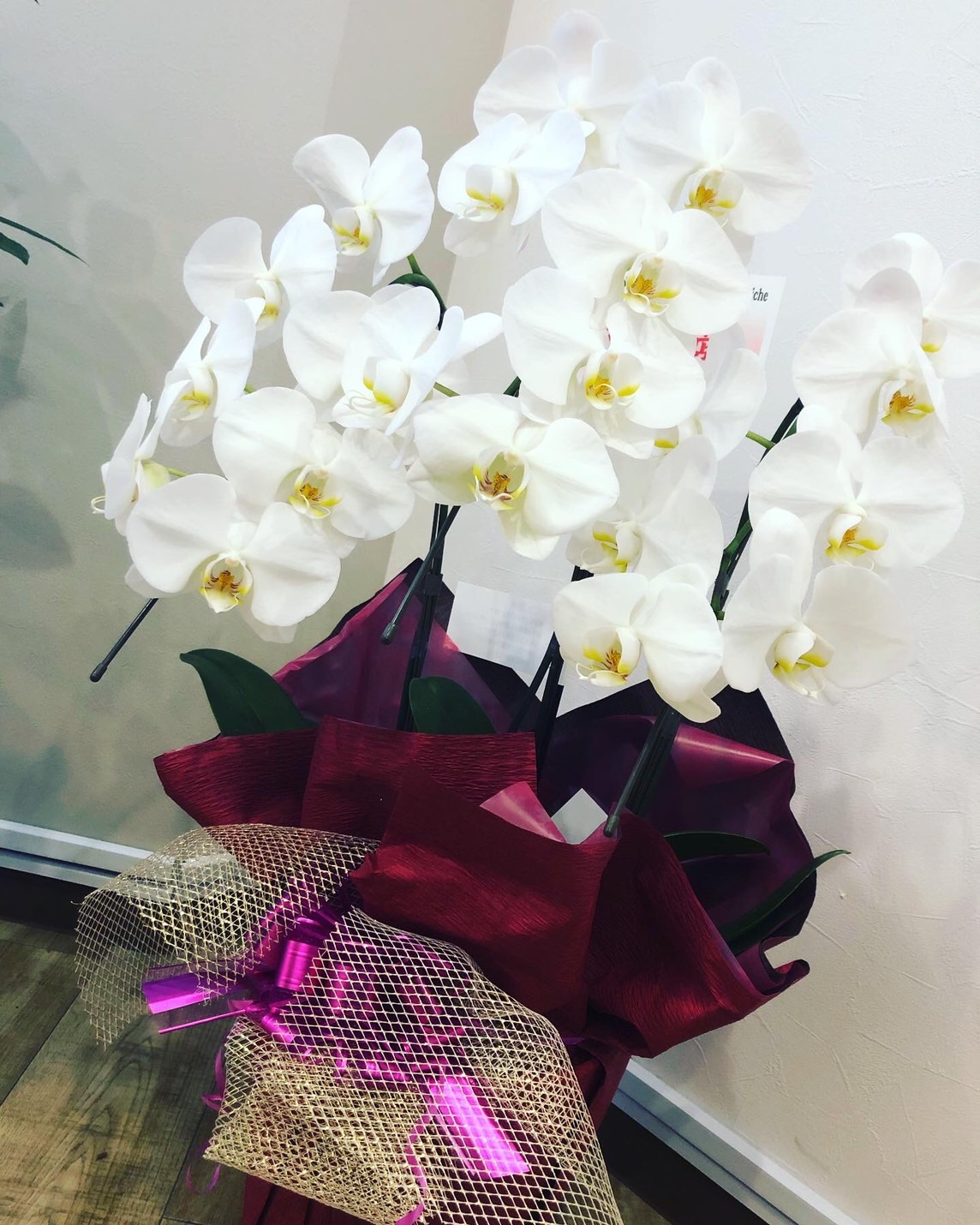 よろしくお願いします 21年11月04日 12時56分 快眠ヘッドスパ リラクゼーションサロン Richeブログ Eparkリラク エステ