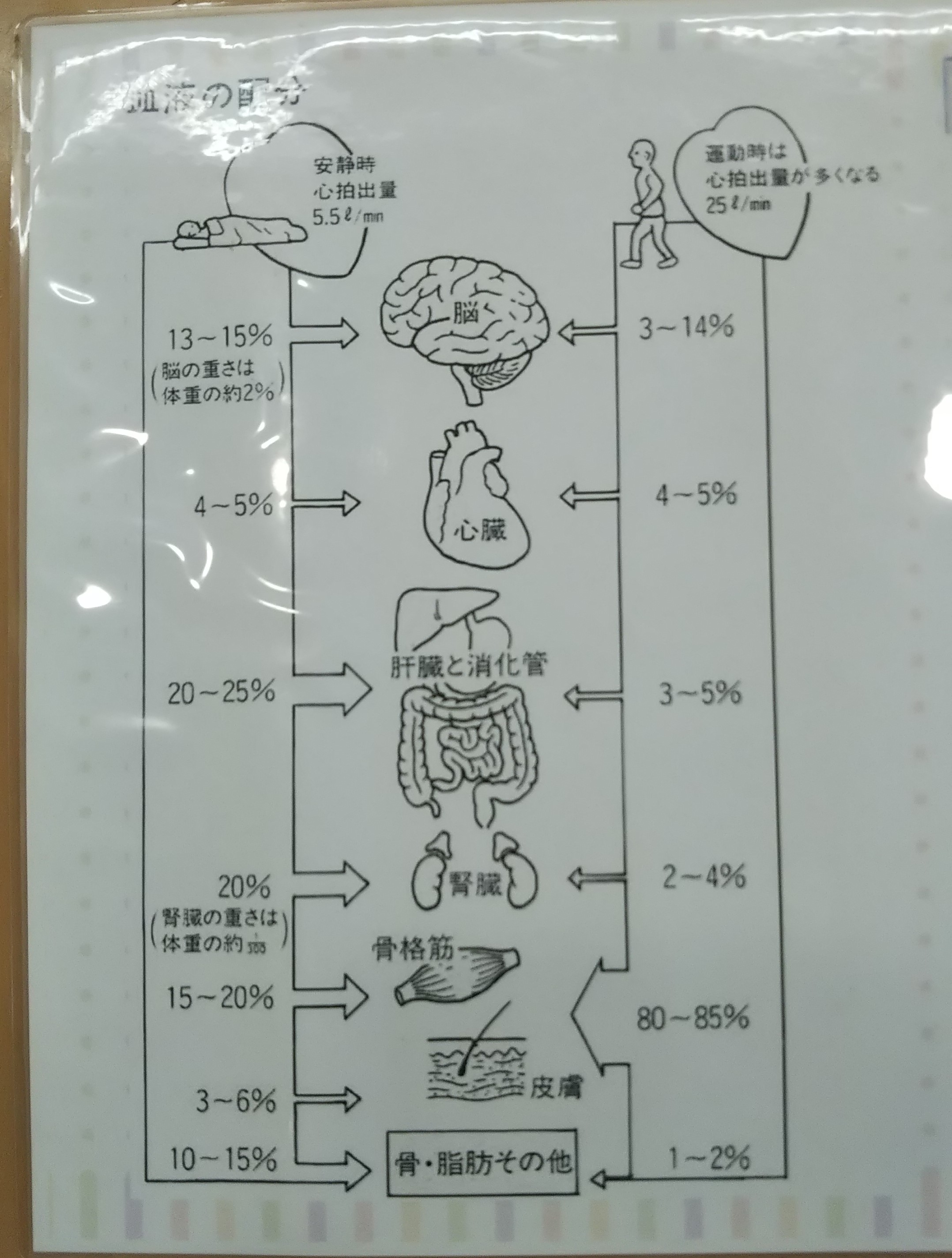 不妊治療と血流 12 12の続き 2019年01月25日 11時47分 爽快館 西葛西店ブログ Eparkリラク エステ