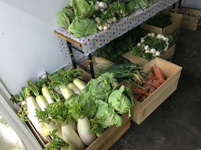 自由が丘デパート地下限定感謝祭 2 9 土 19年02月08日 14時14分 フーレセラピー リラクゼーションサロン ミルブログ Eparkリラク エステ