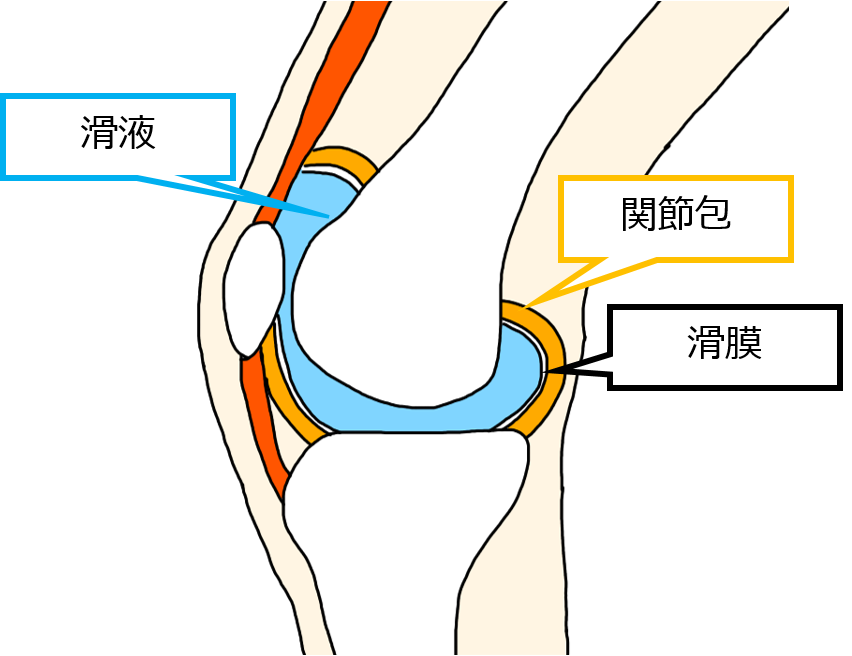どのように似ていますか?