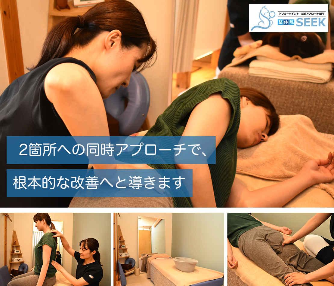 整体院 シーク Seek のクーポン サロン情報 Eparkリラク エステ